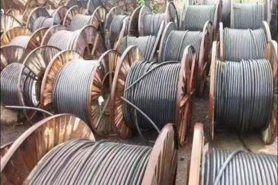 武漢回收服務全解析 資源循環利用，共建綠色城市